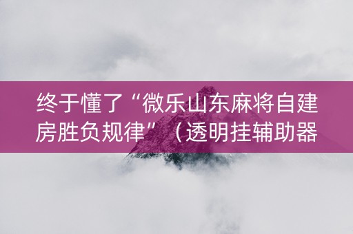 终于懂了“微乐山东麻将自建房胜负规律”（透明挂辅助器)