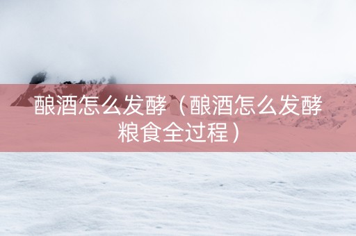 酿酒怎么发酵（酿酒怎么发酵粮食全过程）