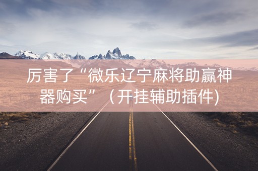厉害了“微乐辽宁麻将助赢神器购买”（开挂辅助插件)