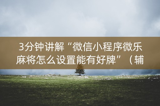 3分钟讲解“微信小程序微乐麻将怎么设置能有好牌”（辅助器下载)