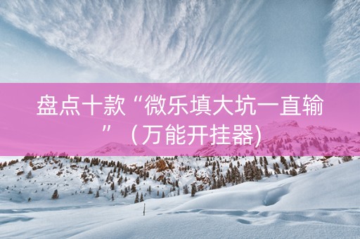 盘点十款“微乐填大坑一直输”（万能开挂器)