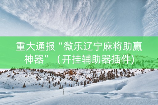 重大通报“微乐辽宁麻将助赢神器”（开挂辅助器插件)