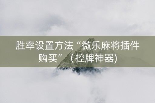 胜率设置方法“微乐麻将插件购买”（控牌神器)