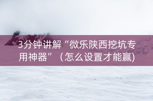 3分钟讲解“微乐陕西挖坑专用神器”（怎么设置才能赢)
