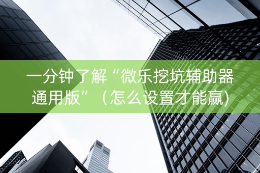 一分钟了解“微乐挖坑辅助器通用版”（怎么设置才能赢)