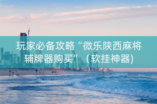 玩家必备攻略“微乐陕西麻将辅牌器购买”（软挂神器)