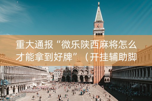 重大通报“微乐陕西麻将怎么才能拿到好牌”（开挂辅助脚本)