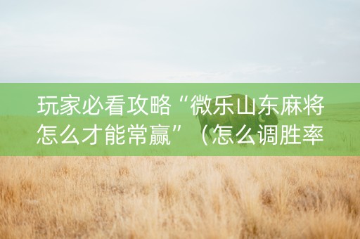 玩家必看攻略“微乐山东麻将怎么才能常赢”（怎么调胜率)
