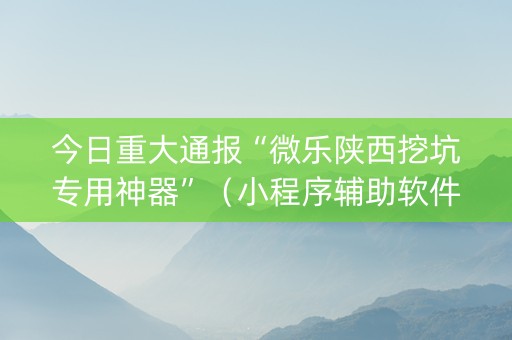 今日重大通报“微乐陕西挖坑专用神器”（小程序辅助软件)