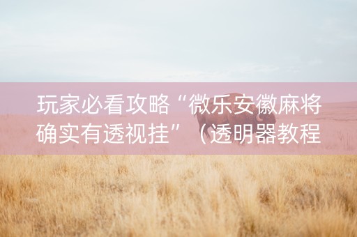 玩家必看攻略“微乐安徽麻将确实有透视挂”（透明器教程)