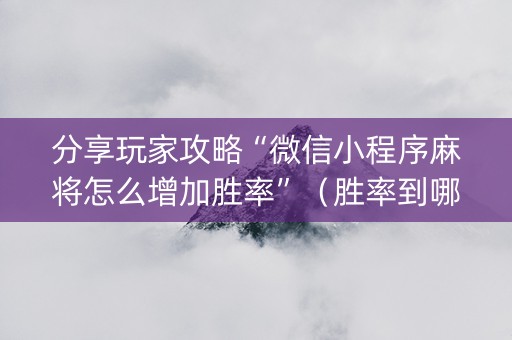 分享玩家攻略“微信小程序麻将怎么增加胜率”（胜率到哪调)