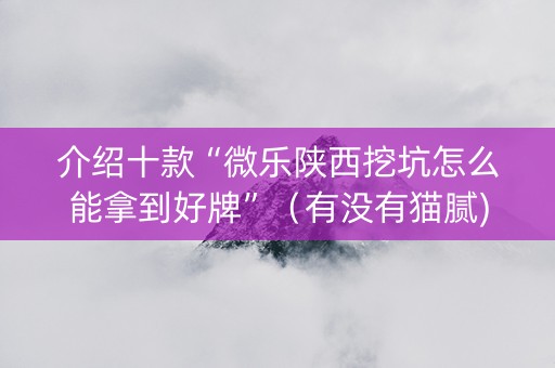介绍十款“微乐陕西挖坑怎么能拿到好牌”（有没有猫腻)