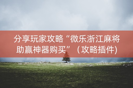 分享玩家攻略“微乐浙江麻将助赢神器购买”（攻略插件)