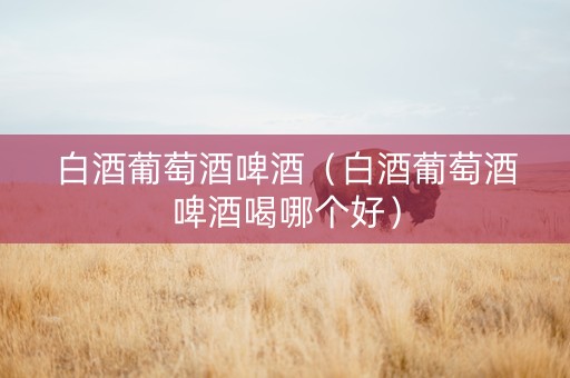 白酒葡萄酒啤酒（白酒葡萄酒啤酒喝哪个好）