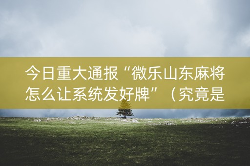今日重大通报“微乐山东麻将怎么让系统发好牌”（究竟是不是有挂)