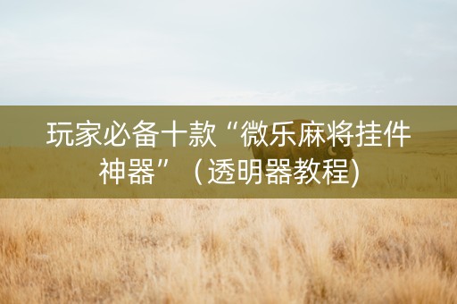 玩家必备十款“微乐麻将挂件神器”（透明器教程)