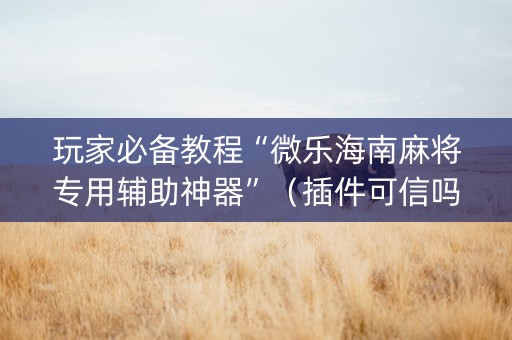 玩家必备教程“微乐海南麻将专用辅助神器”（插件可信吗)