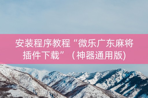 安装程序教程“微乐广东麻将插件下载”（神器通用版)