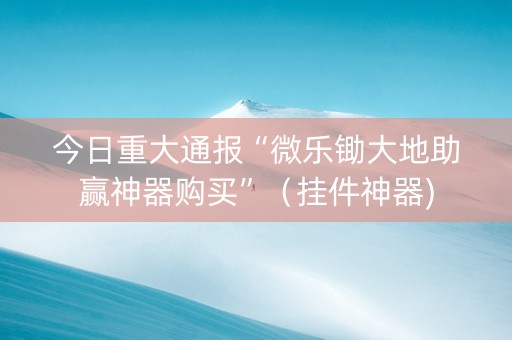 今日重大通报“微乐锄大地助赢神器购买”（挂件神器)