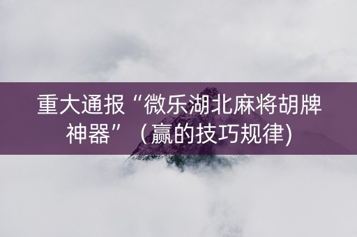重大通报“微乐湖北麻将胡牌神器”（赢的技巧规律)