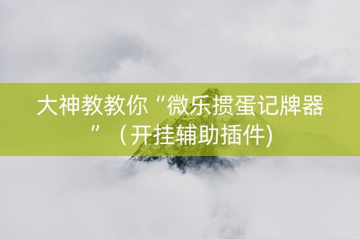大神教教你“微乐掼蛋记牌器”（开挂辅助插件)