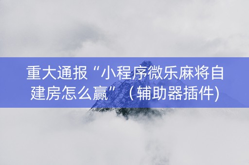 重大通报“小程序微乐麻将自建房怎么赢”（辅助器插件)