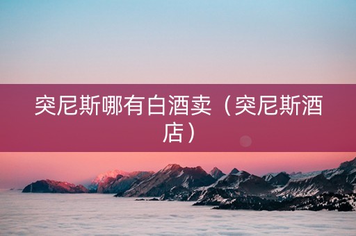 突尼斯哪有白酒卖（突尼斯酒店）