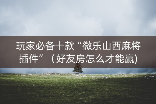 玩家必备十款“微乐山西麻将插件”（好友房怎么才能赢)