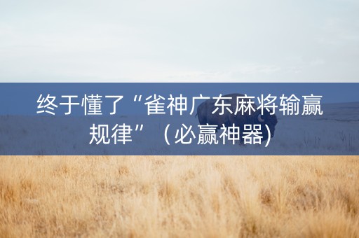 终于懂了“雀神广东麻将输赢规律”（必赢神器)