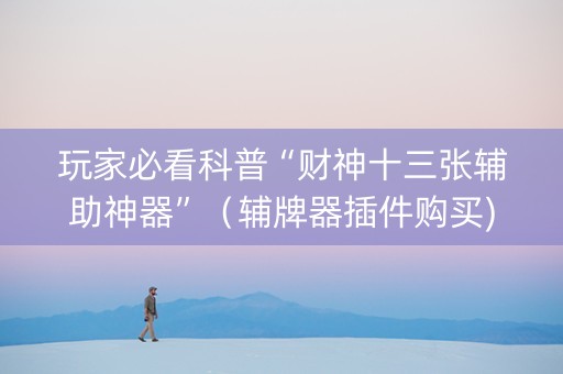玩家必看科普“财神十三张辅助神器”（辅牌器插件购买)