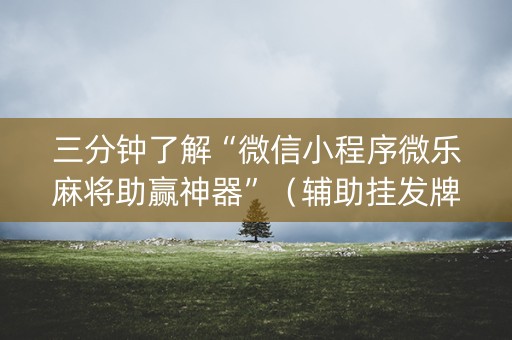 三分钟了解“微信小程序微乐麻将助赢神器”（辅助挂发牌规律)