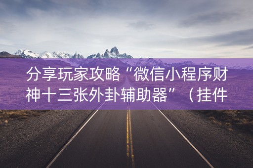 分享玩家攻略“微信小程序财神十三张外卦辅助器”（挂件神器)