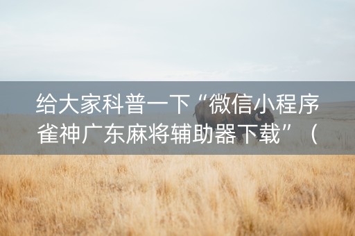给大家科普一下“微信小程序雀神广东麻将辅助器下载”（如何让系统发好牌)