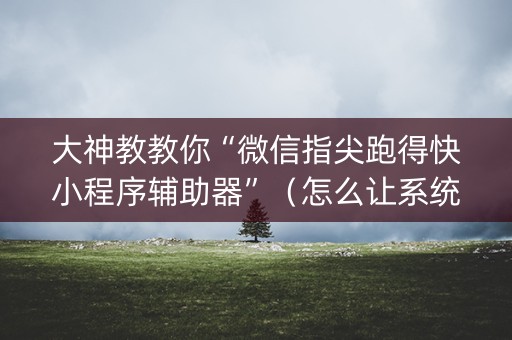 大神教教你“微信指尖跑得快小程序辅助器”（怎么让系统给自己好牌)