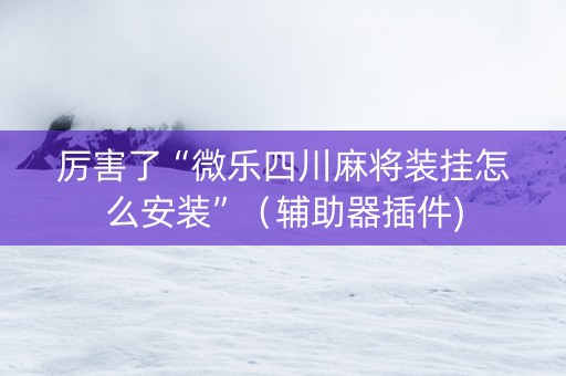 厉害了“微乐四川麻将装挂怎么安装”（辅助器插件)