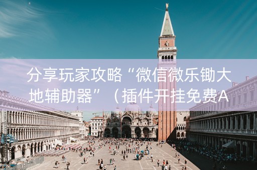 分享玩家攻略“微信微乐锄大地辅助器”（插件开挂免费AI)