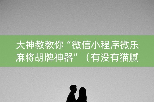 大神教教你“微信小程序微乐麻将胡牌神器”（有没有猫腻)