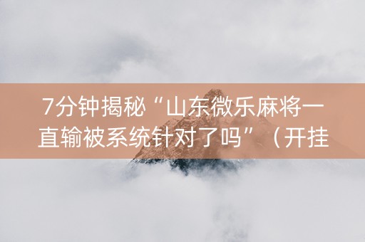 7分钟揭秘“山东微乐麻将一直输被系统针对了吗”（开挂辅助插件)