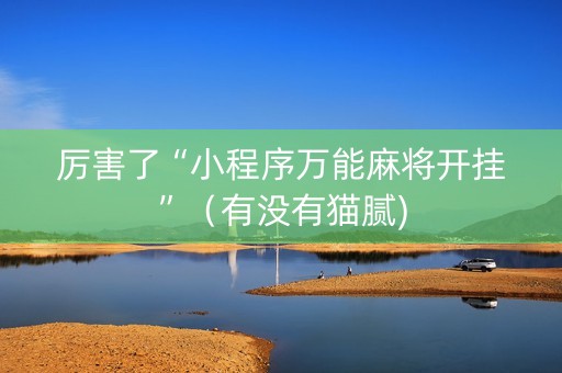 厉害了“小程序万能麻将开挂”（有没有猫腻)