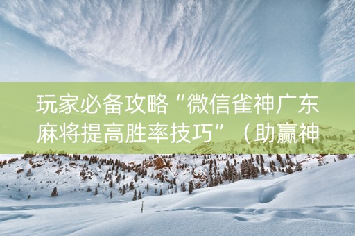 玩家必备攻略“微信雀神广东麻将提高胜率技巧”（助赢神器购买)