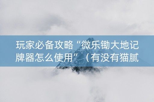 玩家必备攻略“微乐锄大地记牌器怎么使用”（有没有猫腻)