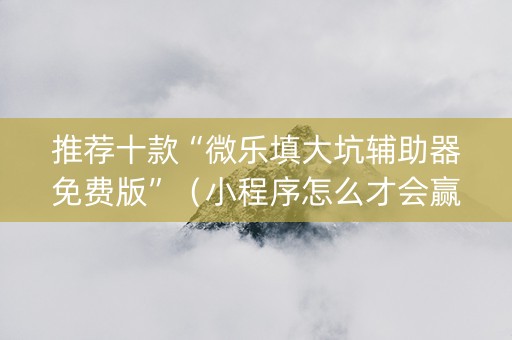 推荐十款“微乐填大坑辅助器免费版”（小程序怎么才会赢)