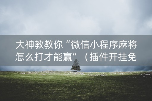 大神教教你“微信小程序麻将怎么打才能赢”（插件开挂免费AI)