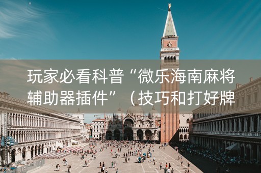 玩家必看科普“微乐海南麻将辅助器插件”（技巧和打好牌方法)