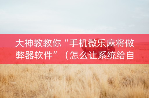 大神教教你“手机微乐麻将做弊器软件”（怎么让系统给自己好牌)
