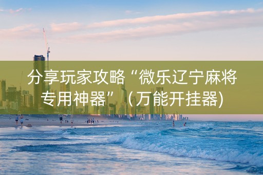 分享玩家攻略“微乐辽宁麻将专用神器”（万能开挂器)