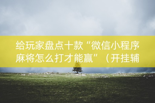 给玩家盘点十款“微信小程序麻将怎么打才能赢”（开挂辅助器插件)