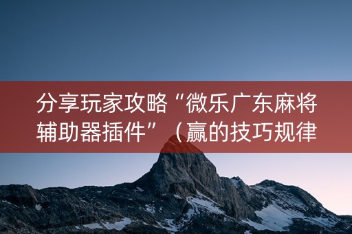 分享玩家攻略“微乐广东麻将辅助器插件”（赢的技巧规律)