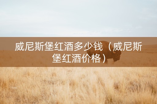 威尼斯堡红酒多少钱（威尼斯堡红酒价格）