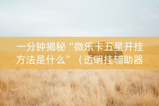 一分钟揭秘“微乐卡五星开挂方法是什么”（透明挂辅助器)